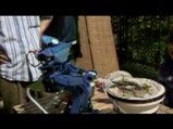鮎の塩焼きシーン