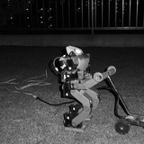 芝刈りテスト夜白黒