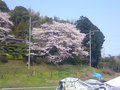職場の近所の風景