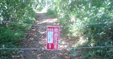 熊出没注意