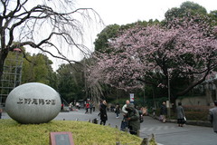 公園入口2