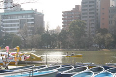 池