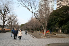 池周辺