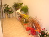DSC02572