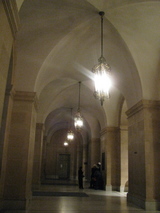SF�����ȥ�������ϭ��