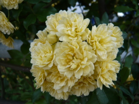 �ʎ�2