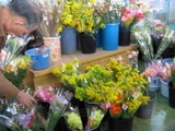 JA����3