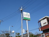 ��ë����_COOP