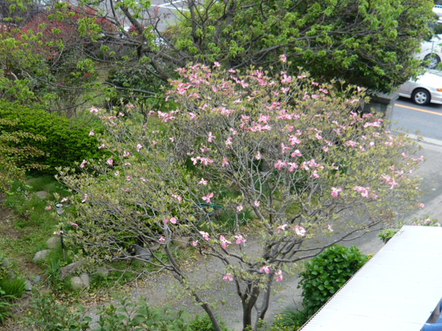 �ʎŎЎ��ގ�1