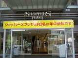 �����ʎߎ����ގ̎ߎ׎���