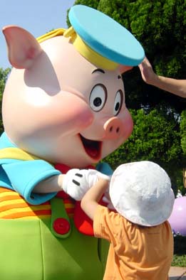 pig
