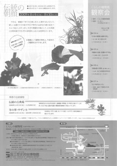 ���饷΢
