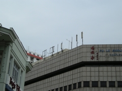 画像ファイル "http://image.blog.livedoor.jp/edyoshi2000/imgs/7/8/78fa25e8.jpg?blog_id=1058308" は壊れているため、表示できませんでした。