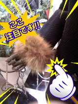 6d7068d5.JPG