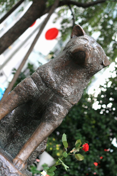 HACHI ¢ö