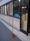 c856ab49.jpg