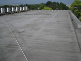 09ccc41e.JPG