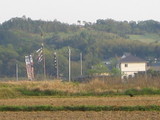 1014b11b.JPG