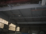 B16塗布完