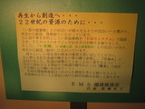 15237d06.JPG