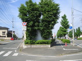 2f55229c.JPG