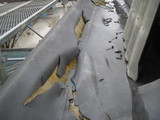 3a370783.JPG