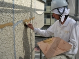 埋め戻し