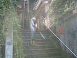 渡邉邸階段洗浄中