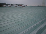 bf366695.JPG