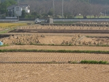 懐かしい風景