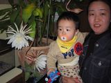 月下美人