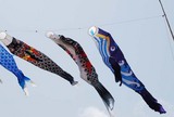 kujira065.5-1