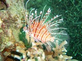 1a9700e5.jpg