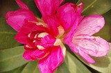 �t�����[�t�F�X�^06-3-5