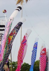 04satukikoinobori