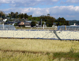 7fb32436.JPG