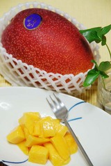 mango-1