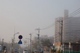 c6c608d6.JPG