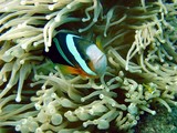 d65084c0.jpg