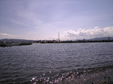 三保海岸2
