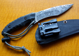 kiku01