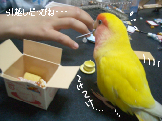 �Ҥä���1