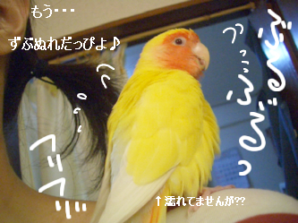 �����??1