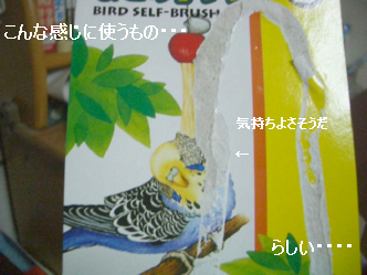 �֥饷1