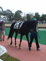 880ae6f0.jpg