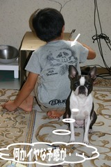 s-IMG_3527