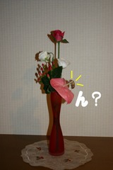 s-IMG_3533