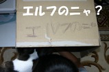 s-IMG_3529