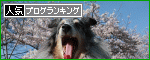 br_decobanner_20100405002730