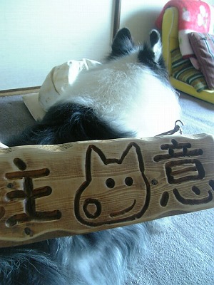 注意